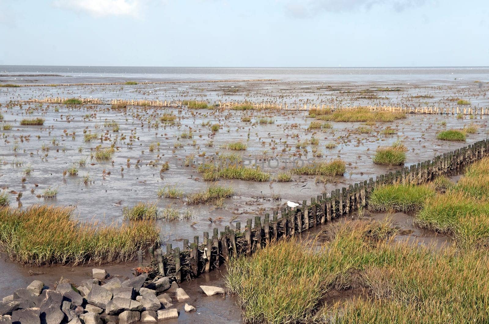 Kuestenschutz, Entwaesserung, Friedrichskoog