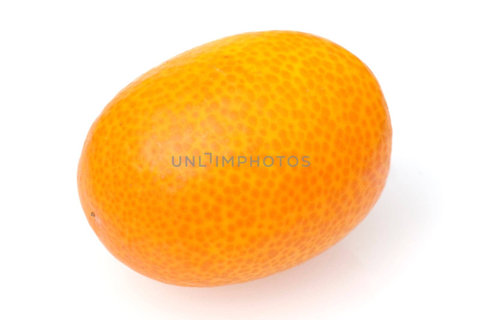 Kumquats  Fortunella  Citrus
