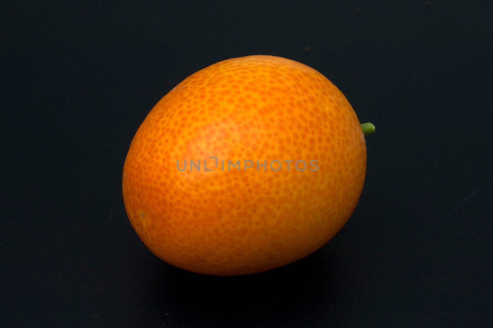 Kumquats  Fortunella  Citrus
