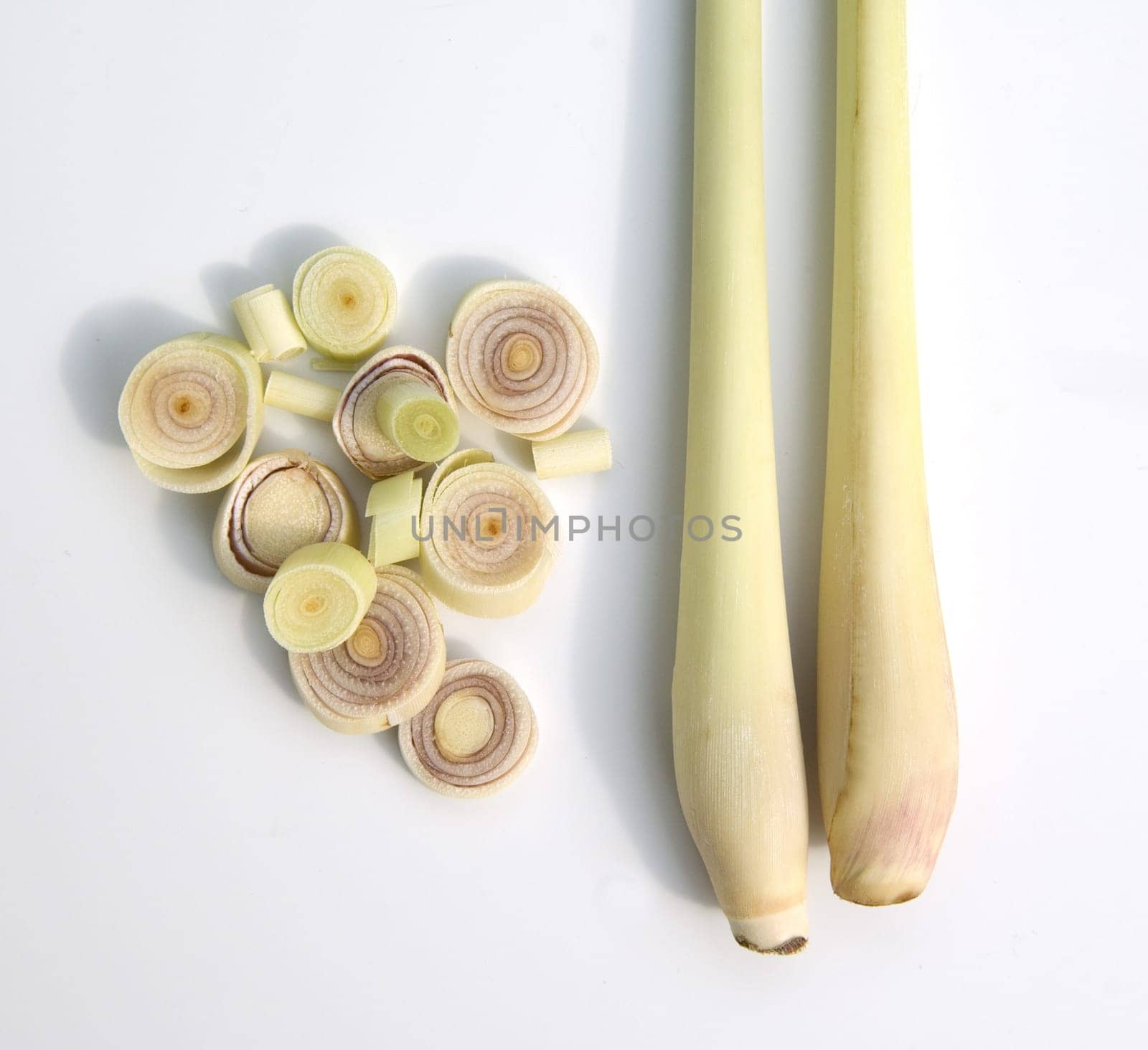 Zitronengras  Cymbopogon citratus, -