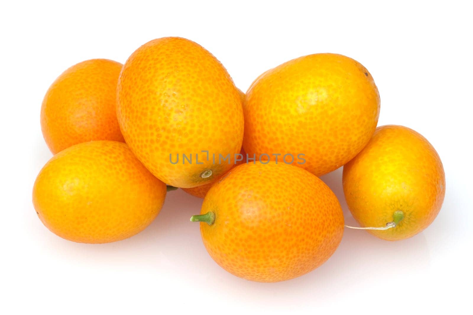 Kumquats  Fortunella  Citrus