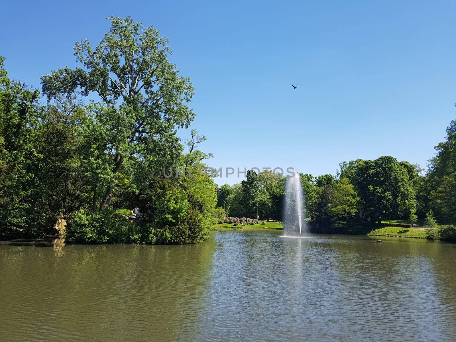 Kurpark, Wiesbaden, Englische, Parkanlage