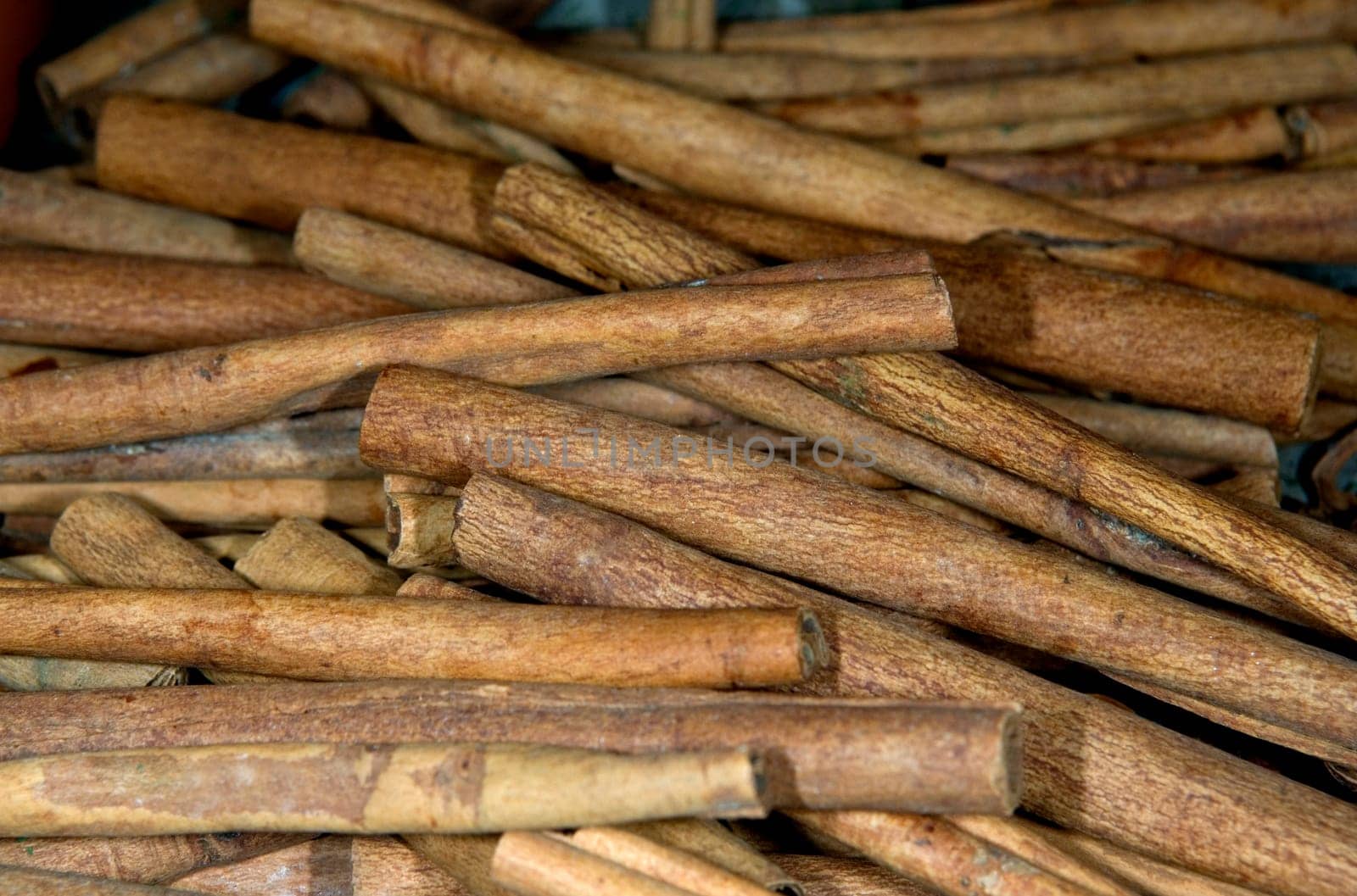 Zimt  Blätter  Ceylon  Cinnamomomum Zeylanicum
