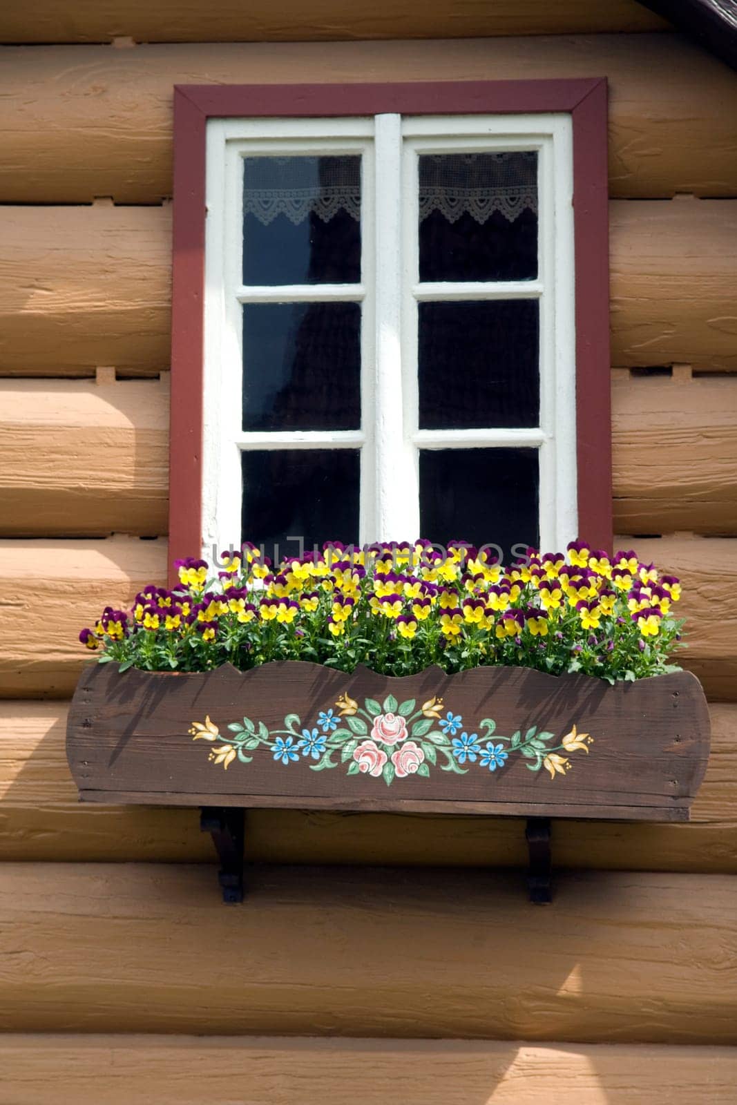 Blumenfenster, Stiefmuetterchen