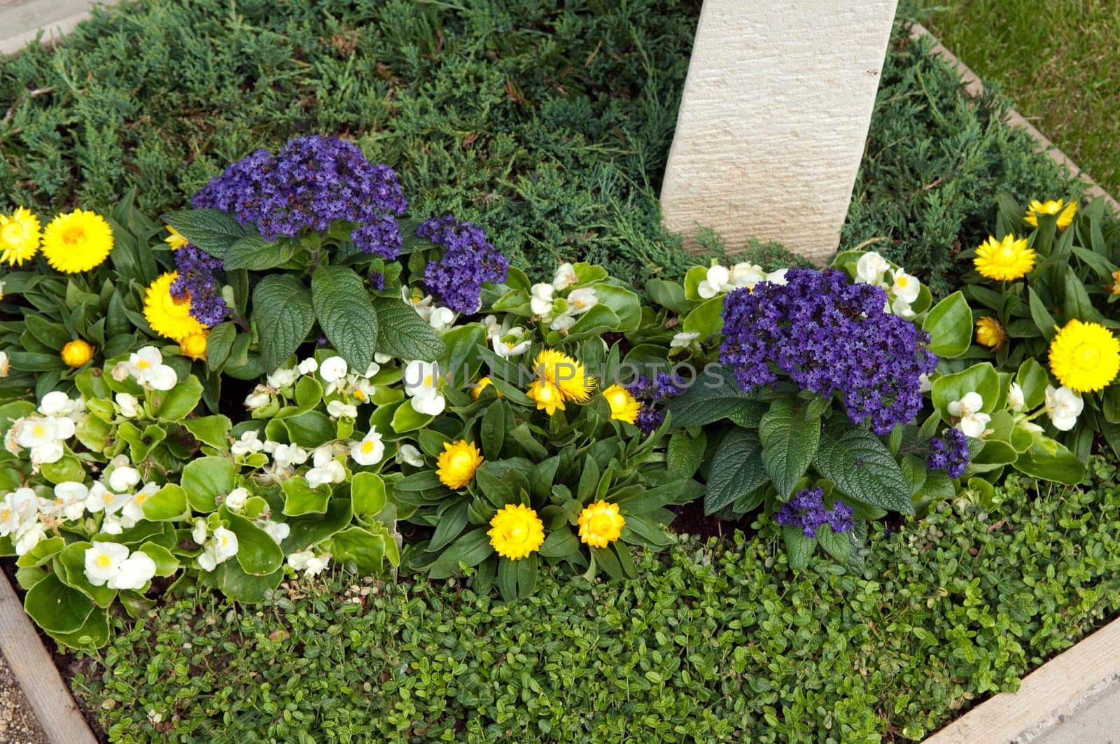 Grabbepflanzung  Randbepflanzung, Blumen