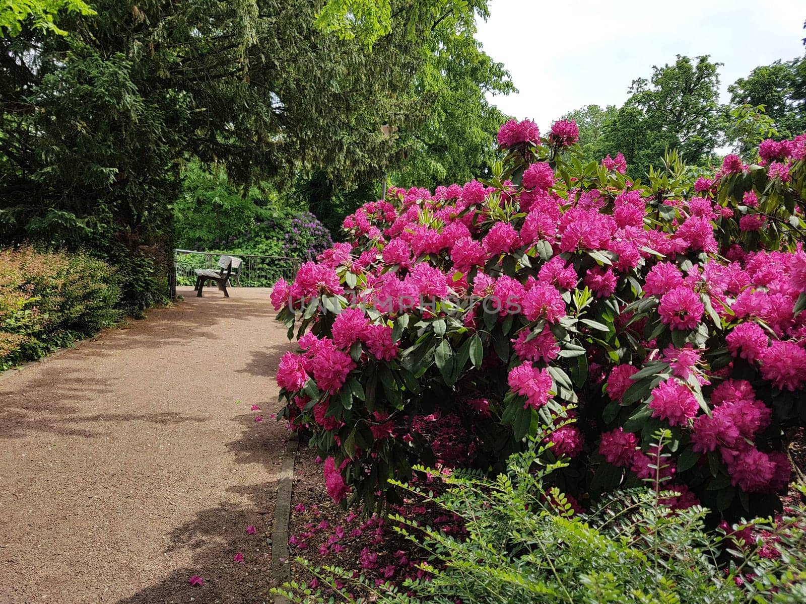 Kurpark, Wiesbaden, Englische, Parkanlage