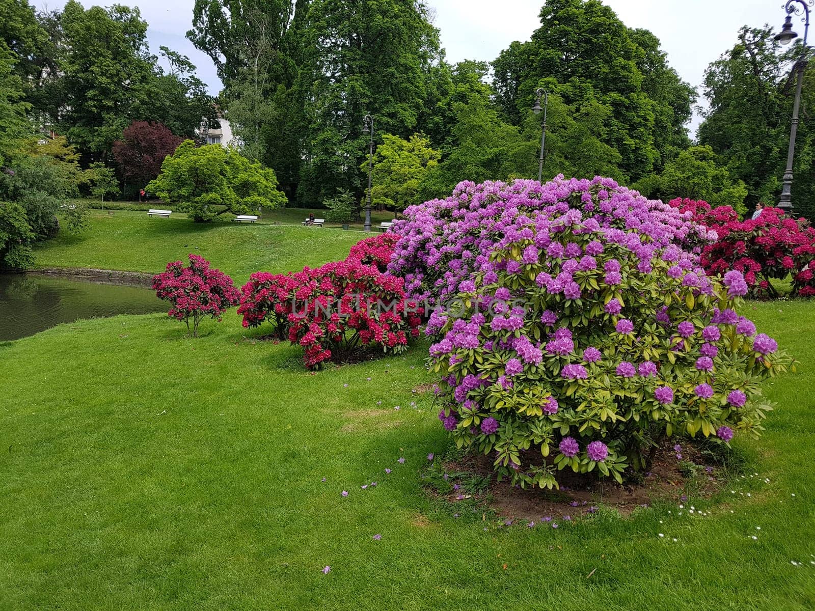 Kurpark, Wiesbaden, Englische, Parkanlage