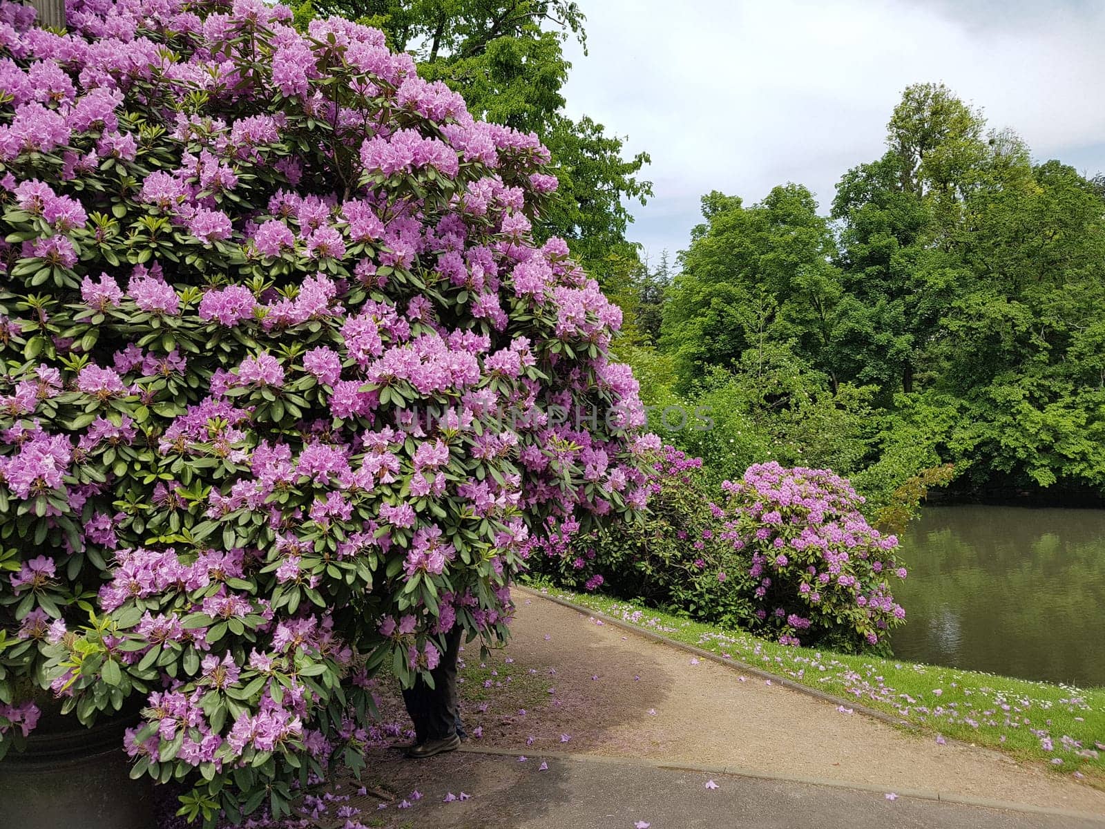 Kurpark, Wiesbaden, Englische, Parkanlage