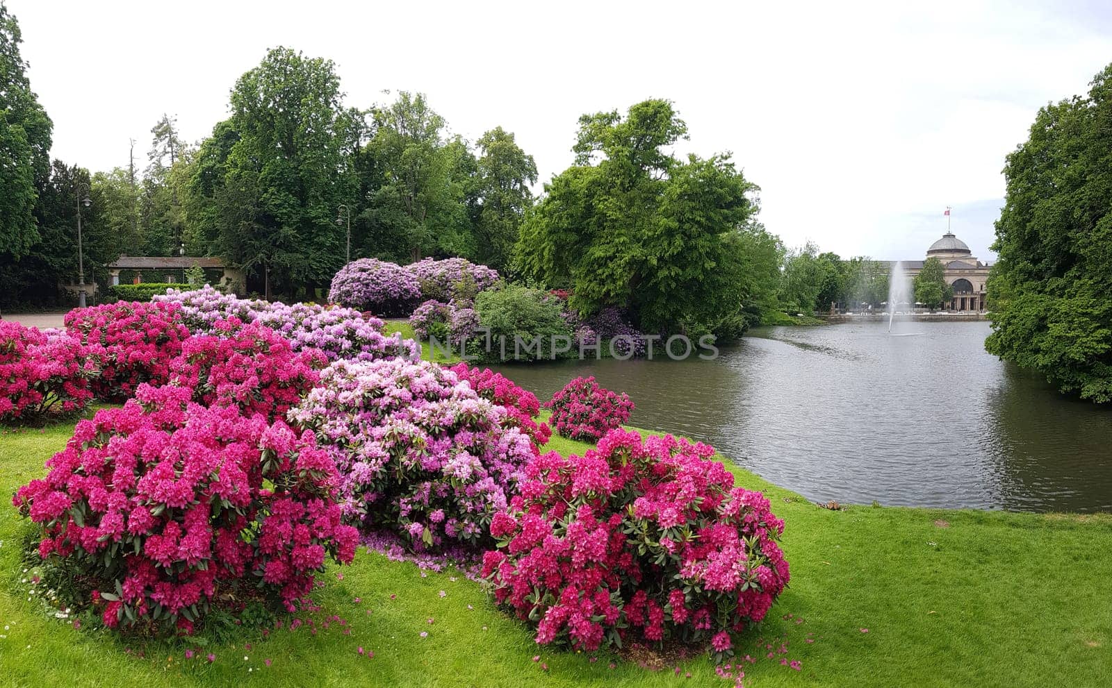 Kurpark, Wiesbaden, Englische, Parkanlage