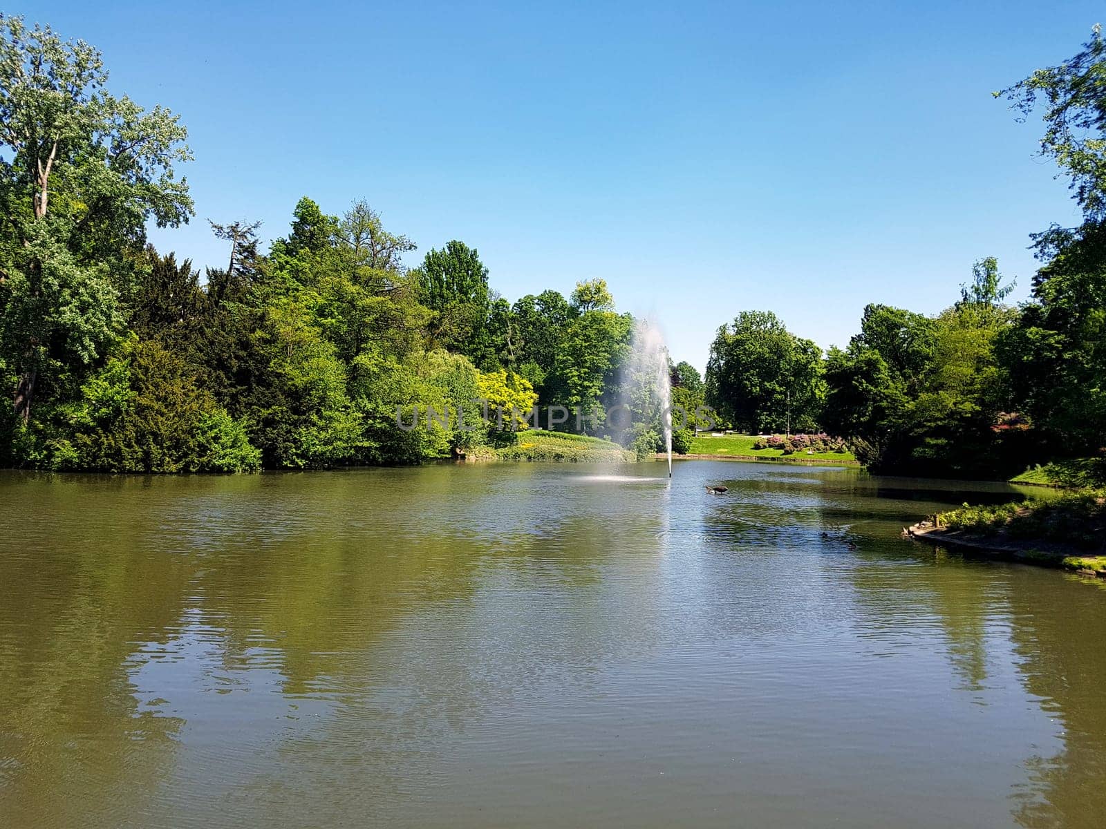 Kurpark, Wiesbaden, Englische, Parkanlage