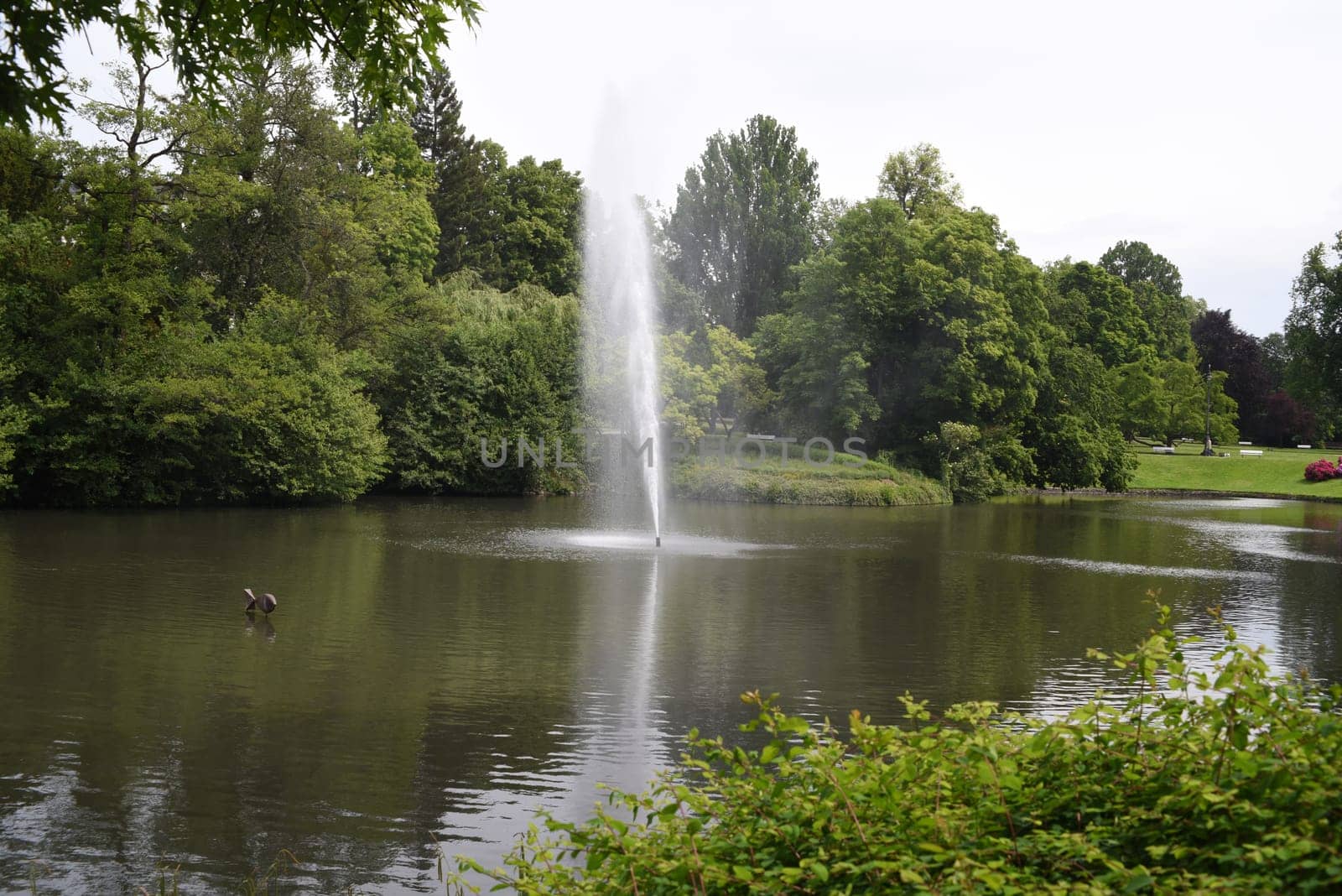 Kurpark, Wiesbaden, Englische, Parkanlage