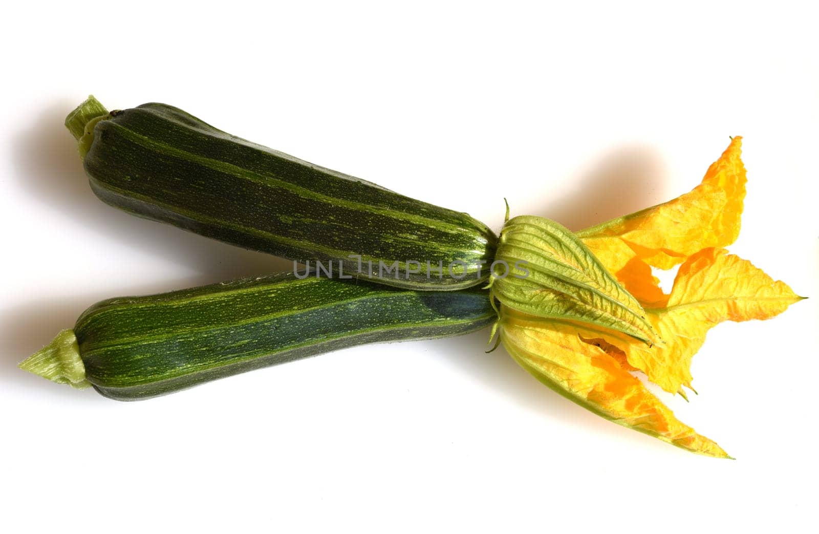 Zucchini, Curcurbita, pepo, Kuerbis, Zucchetti