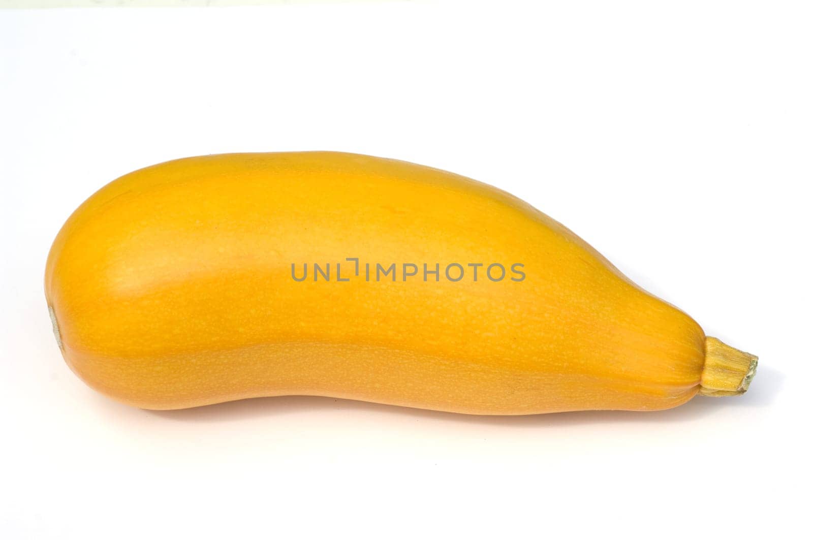 Zucchini  Curcurbita pepo, gelb