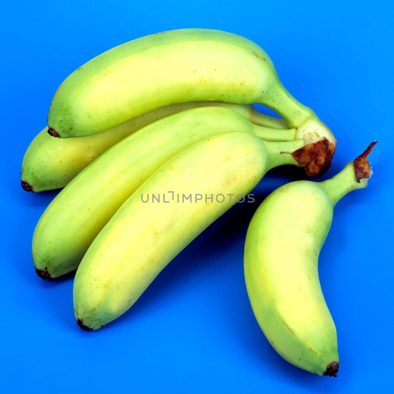 Zwergbanane, Musa paradisiaca, Banane, Exotische Frucht, Südfrüchte.