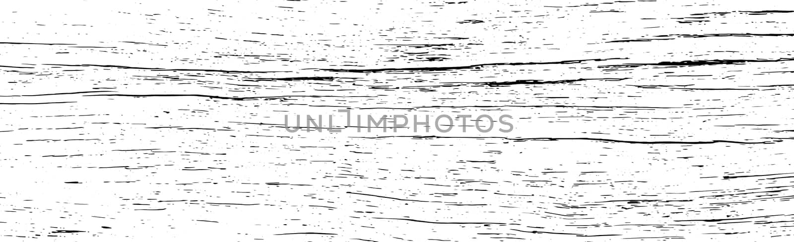 Panoramic texture of light wood with knots - Vector illustration