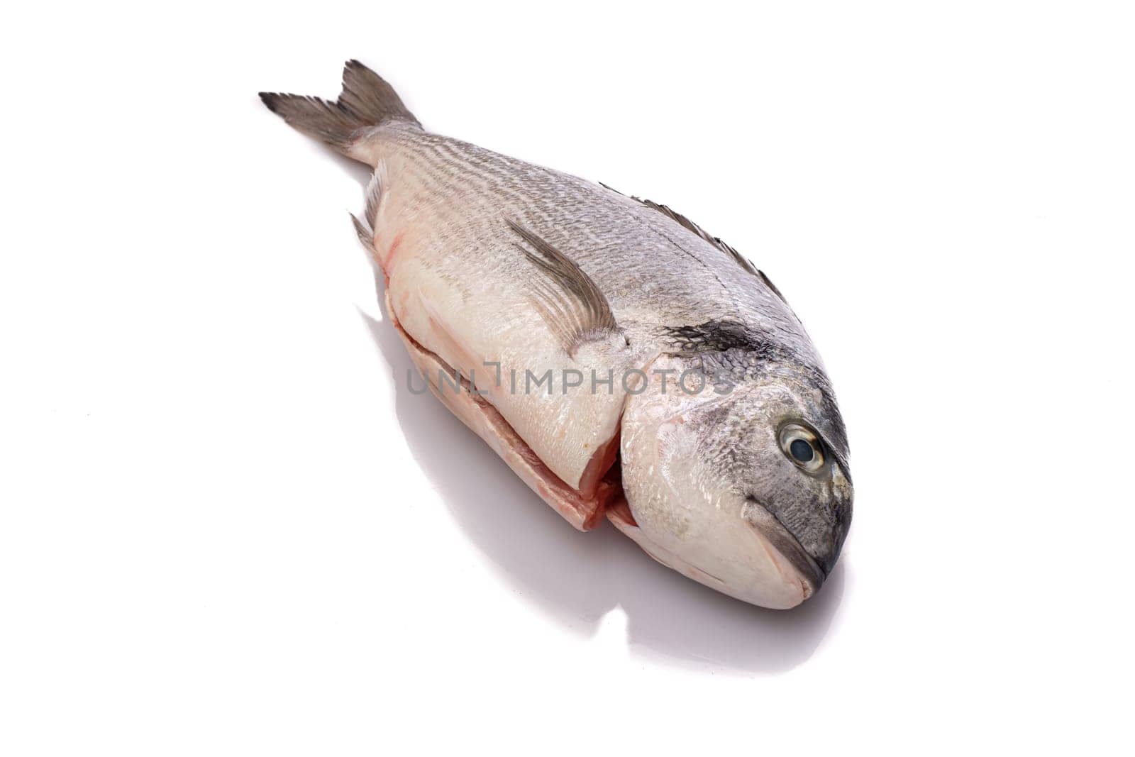 Raw gilthead fish white isolated freshness