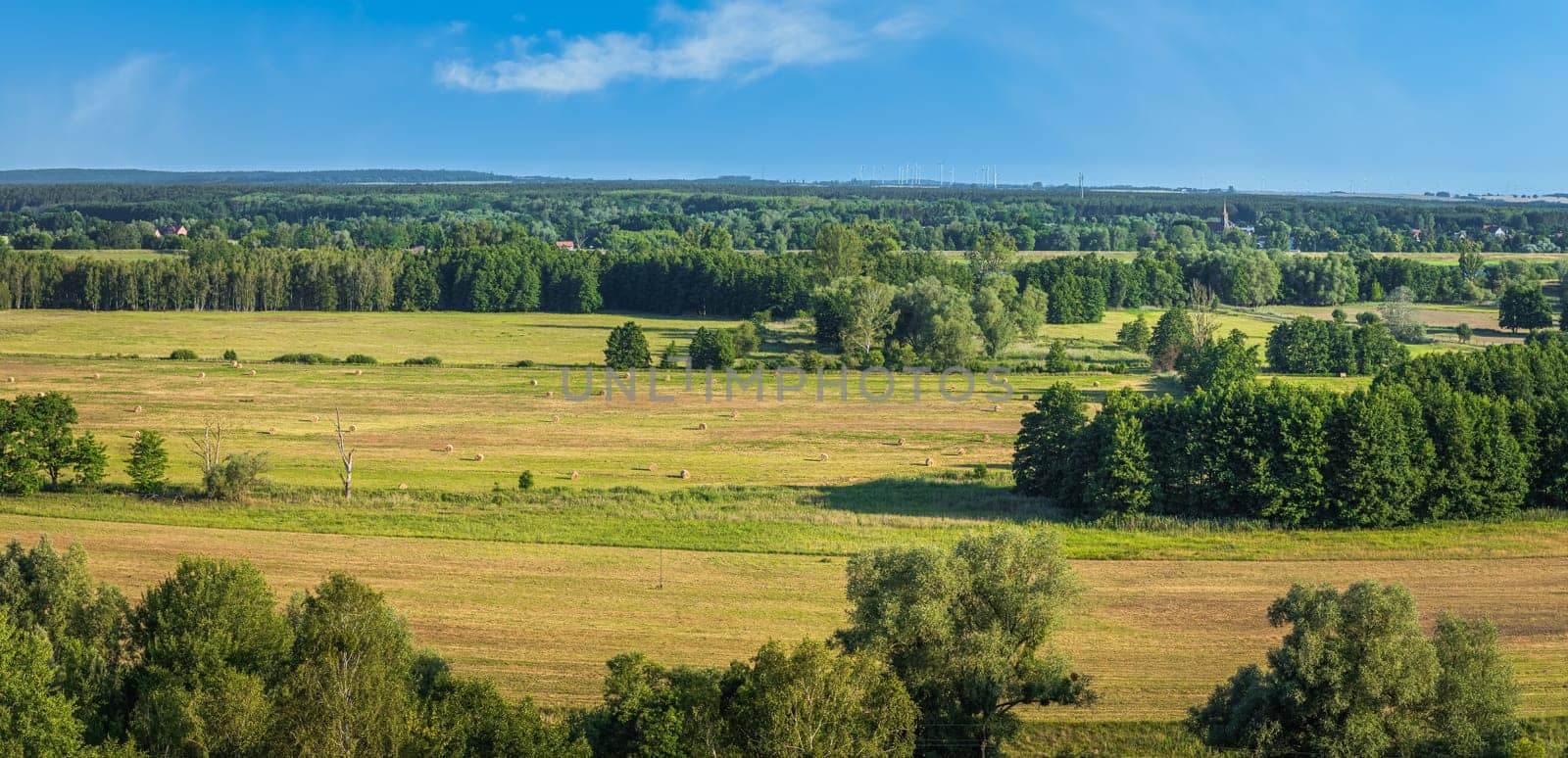 Summer rural landscape with sheafs of hay on agriculture fields, forest and windmills on windfarm, country border between Germany and Poland, panorama