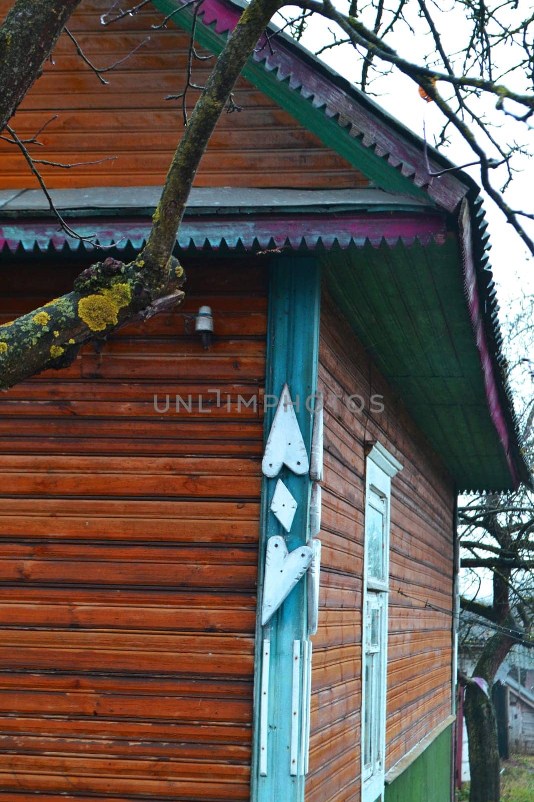 Detail of a wooden wall of the old log house. Vertical image
