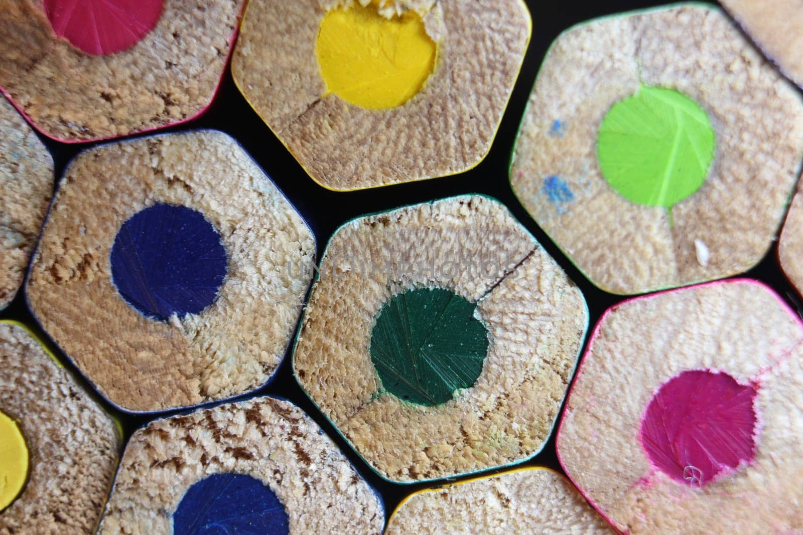 Multicolored pencils bottom macro view closeup background, education, student and school concept, wooden colorful pencil texture