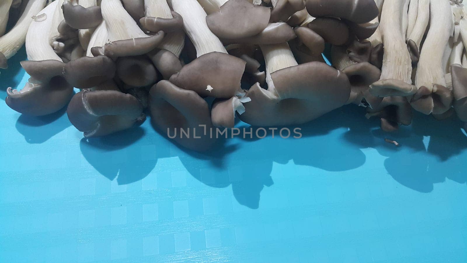 Closeup view of big pile of fresh harvested mushrooms. Food background of mushrooms in market for sale. A Vegetables background