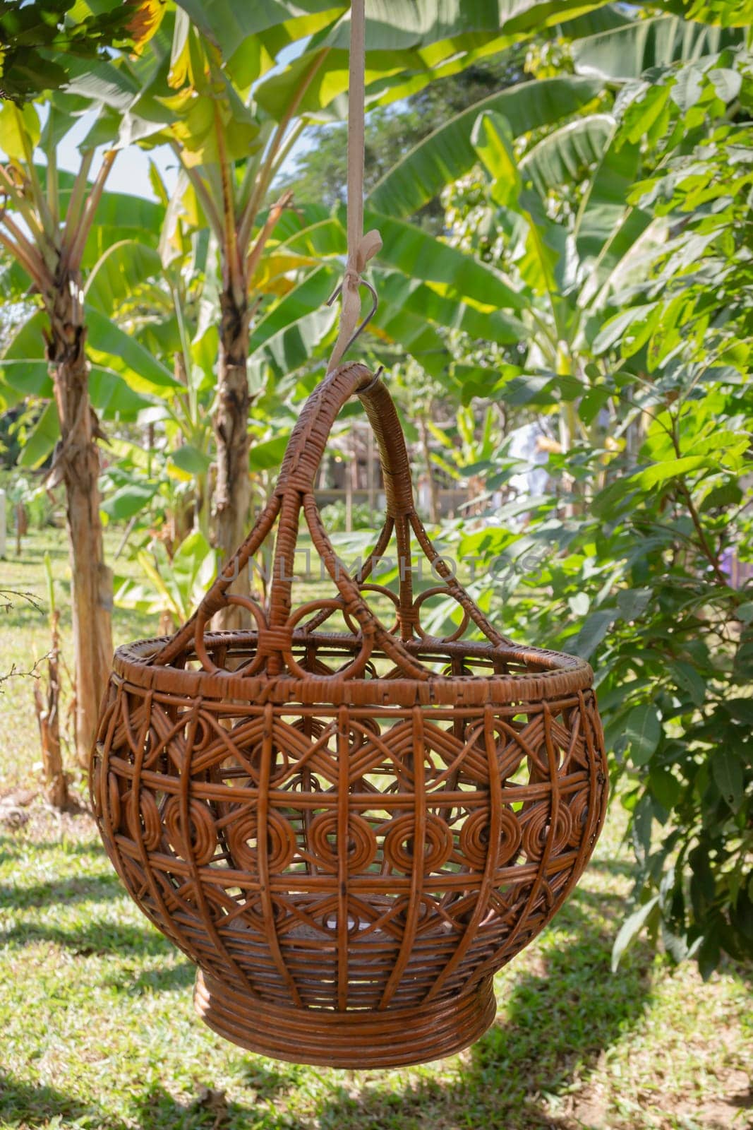 Weave basket hanging in the fruit garden, stock photo