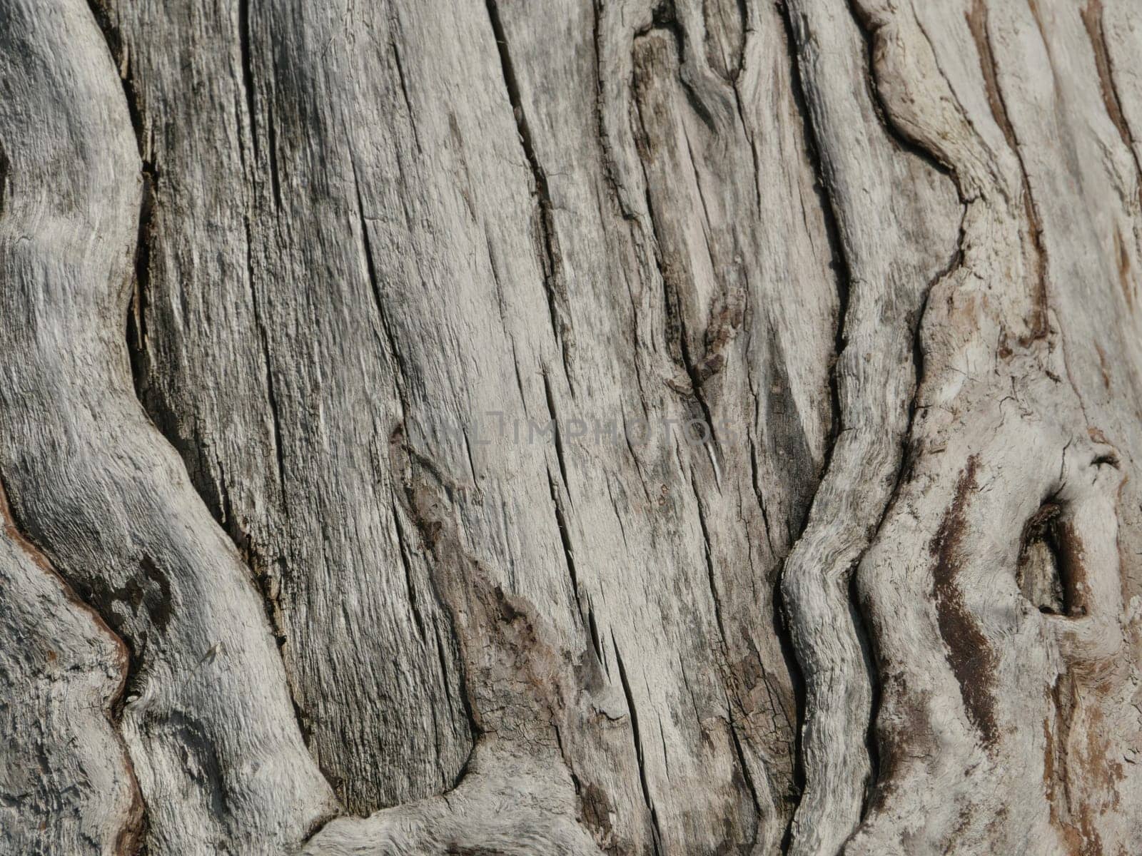 wood dry cracked surface, abstract background