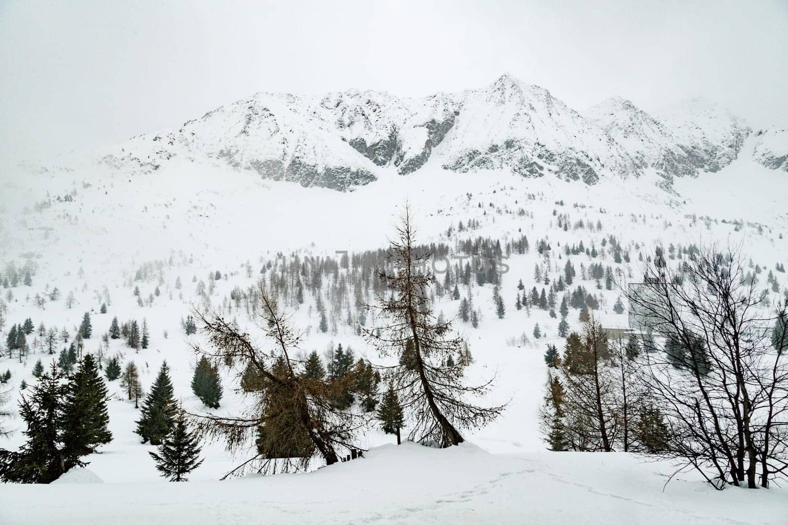 Winter landscape with lots of white snow. Concept of vacation during the winter holidays in the high mountains. soft focus.