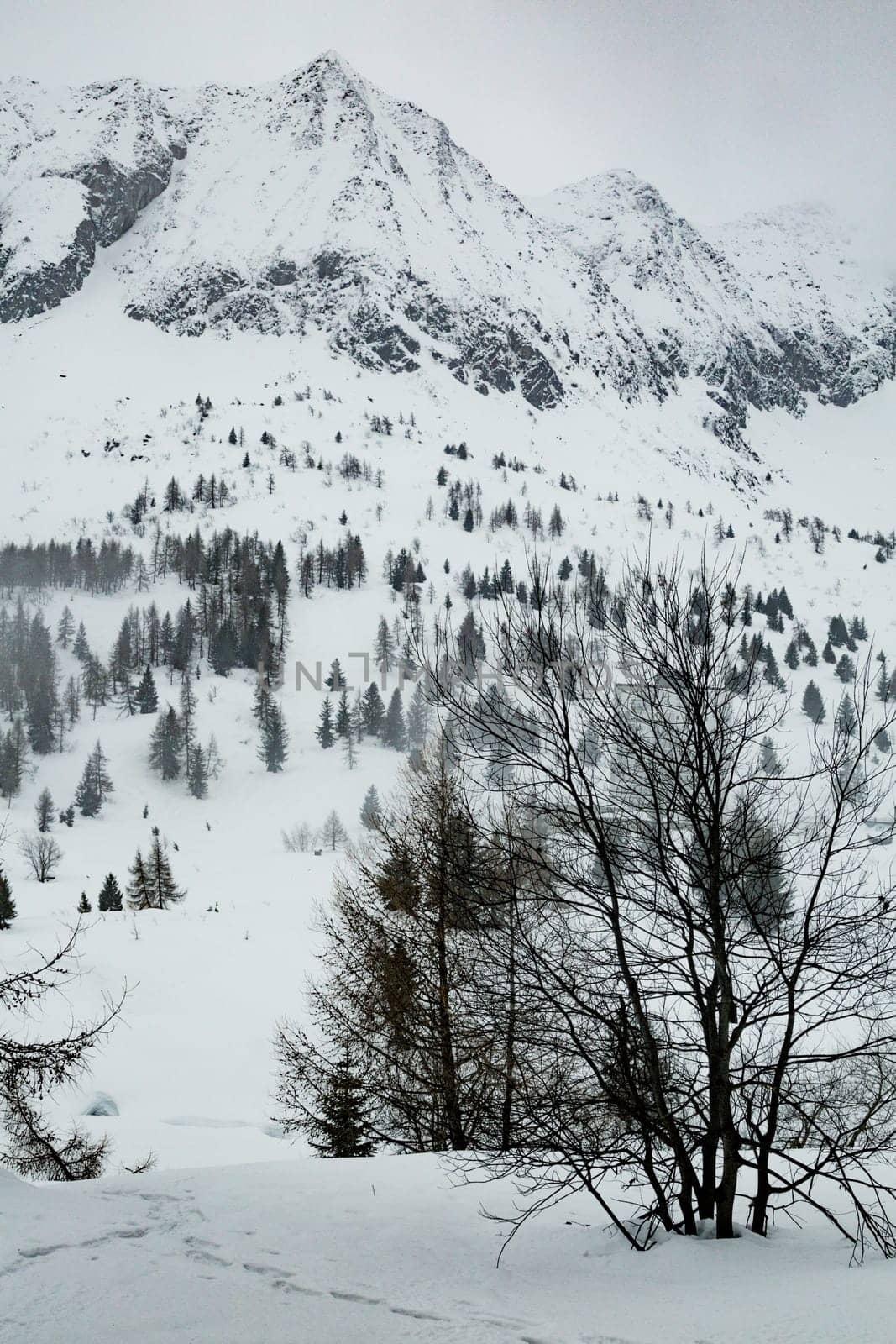 Winter landscape with lots of white snow. Concept of vacation during the winter holidays in the high mountains. Selective focus. Vertical orientation.