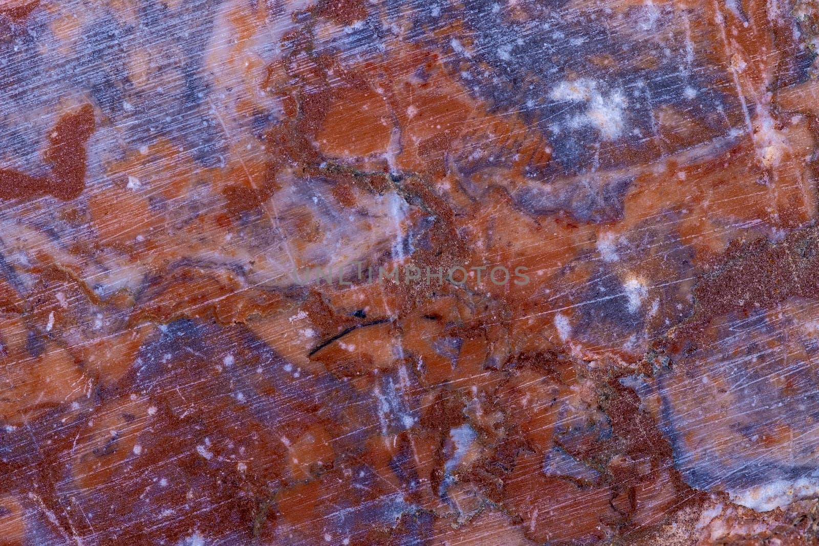 Lahn marble in a closeup