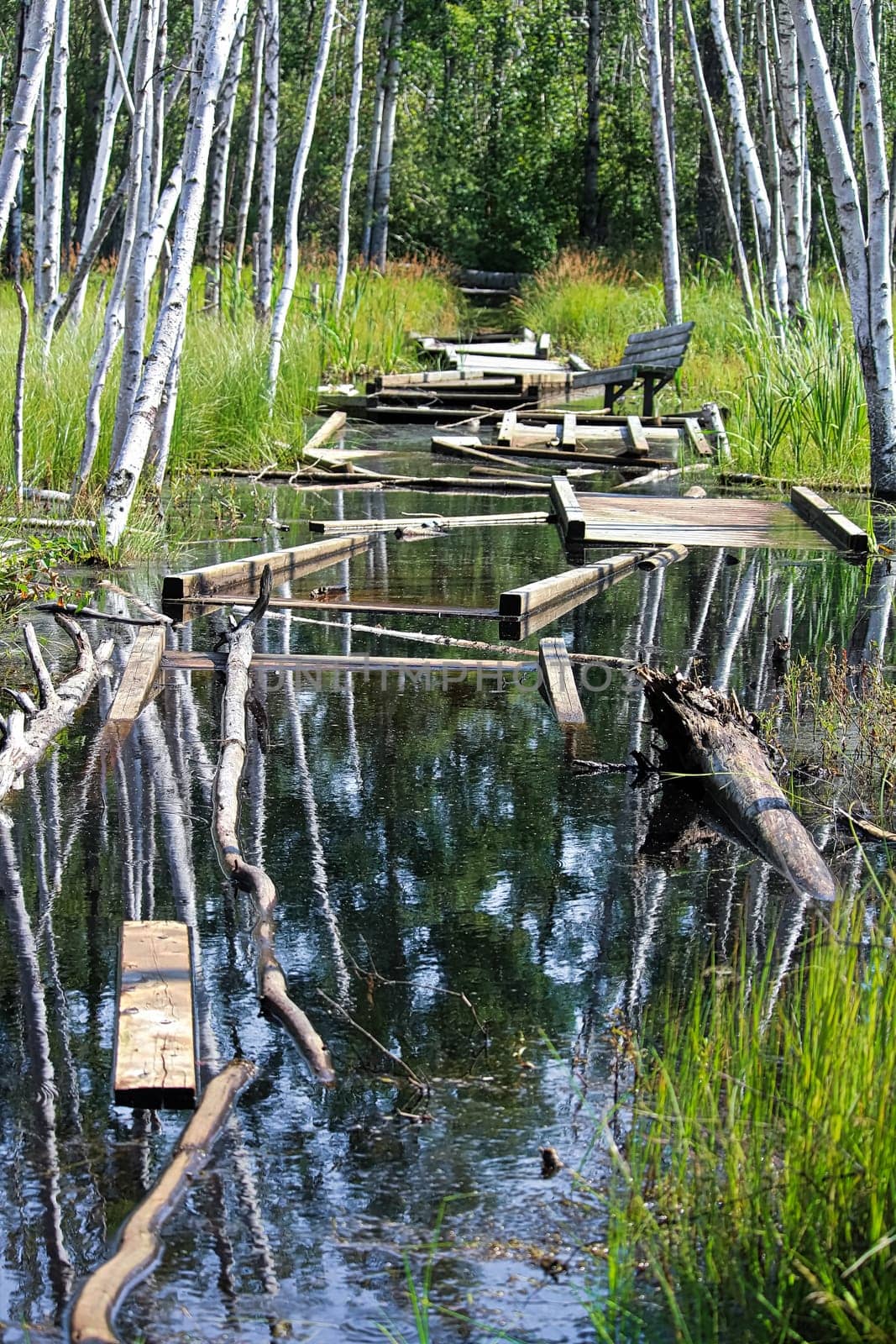 A boardwalk trail that has been flooded out and broken.
