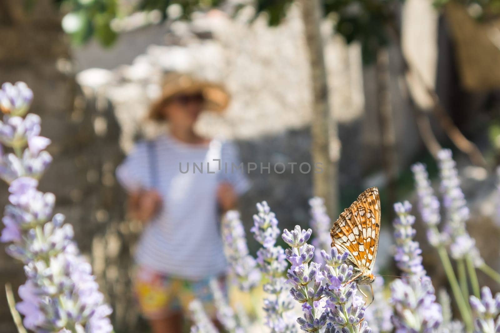 Defocused image of young female traveler wearing straw sun hat enjoying summer on Mediterranean cost strolling among lavander flowers on traditional costal village garden.