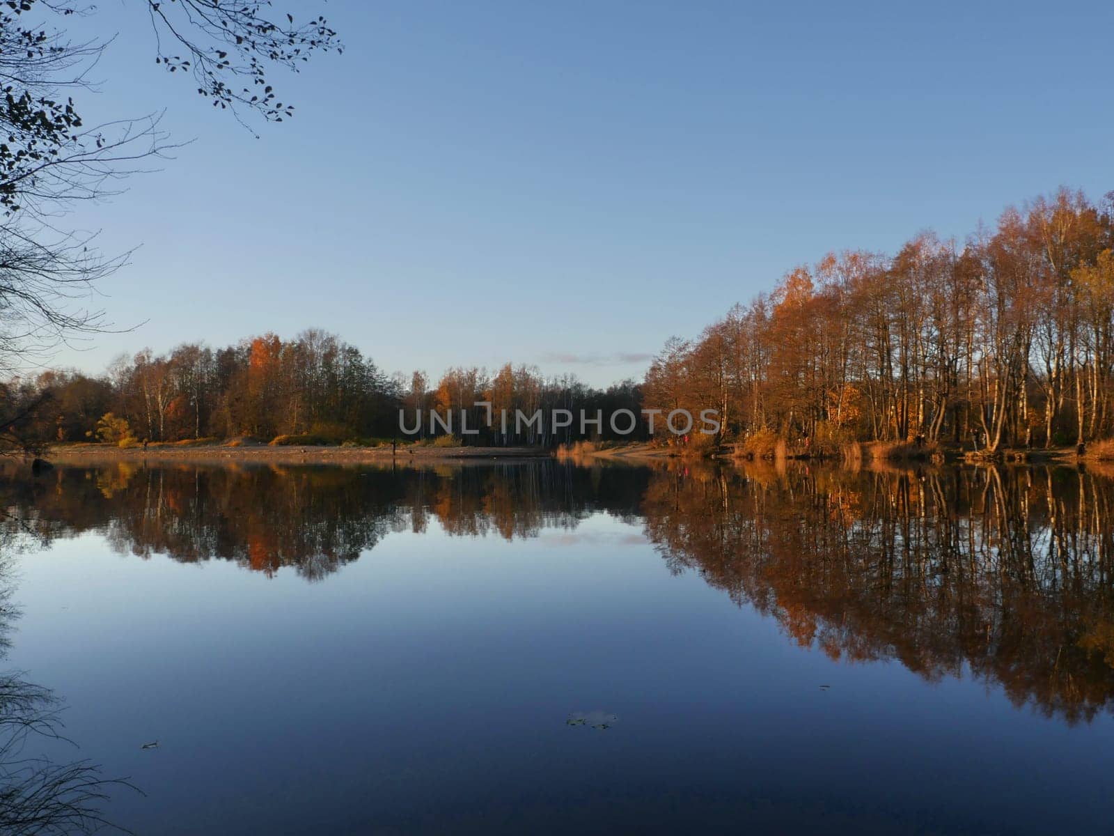 blue sky yellow trees reflected in river beautiful autumn landscape