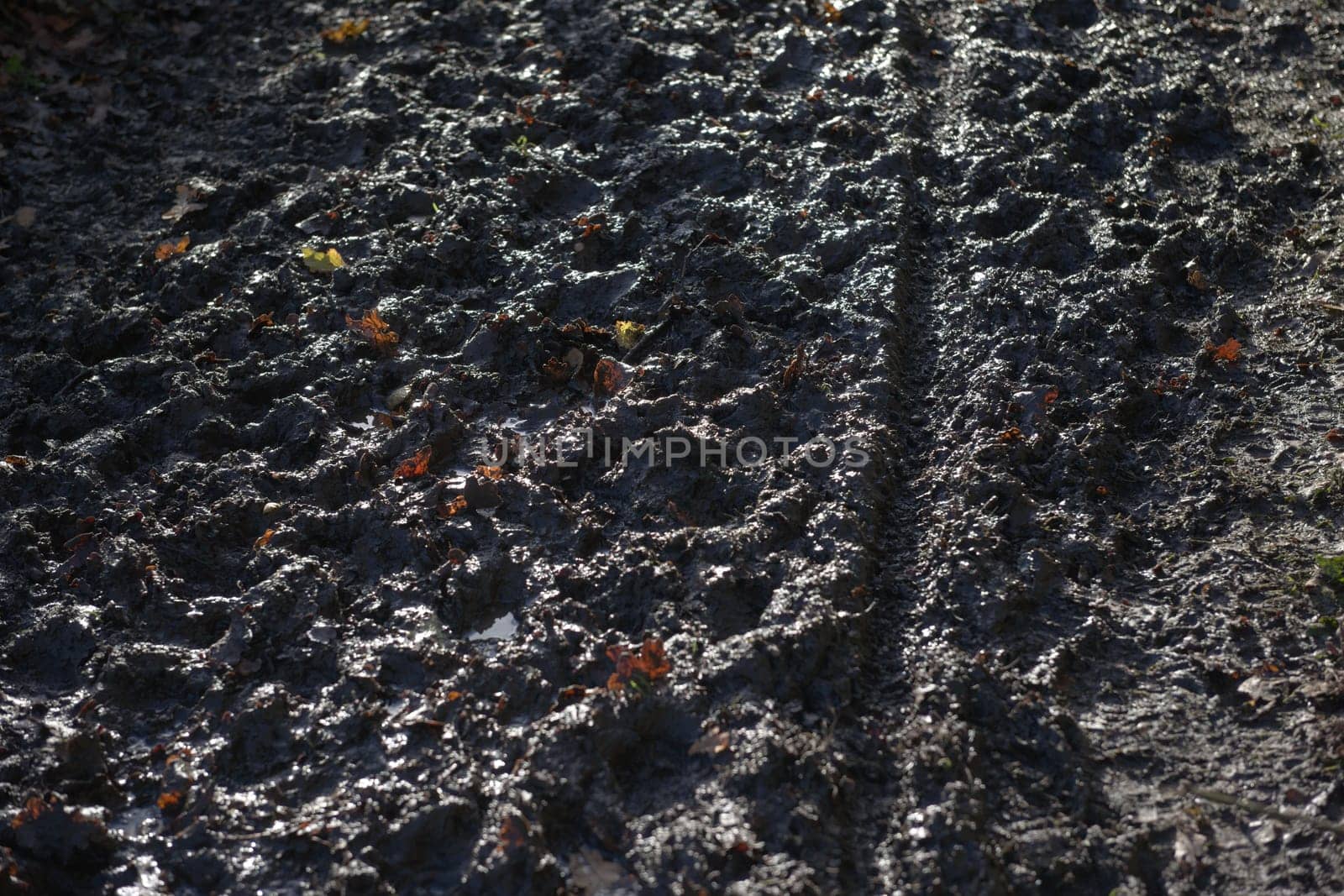 1 - High contrast sunny scene of thick, deep and squelchy mud. Full frame abstract texture littered with autumn leaves. Bike tyre track cuts through.