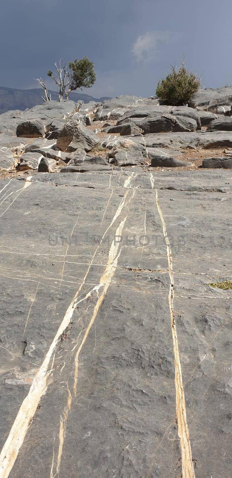 Calcite veins in the limestone rock on the plateau in front of the Grand Canyon of Jabal Shams in Oman.