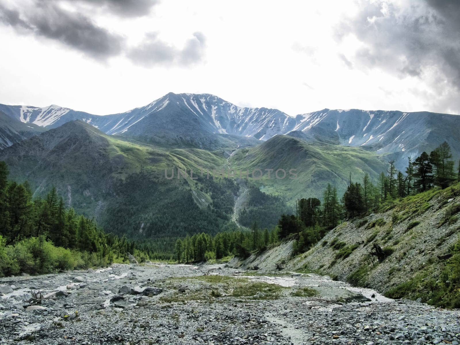 Nature is altai. Mountain landscape, forests and reservoirs of the altai.