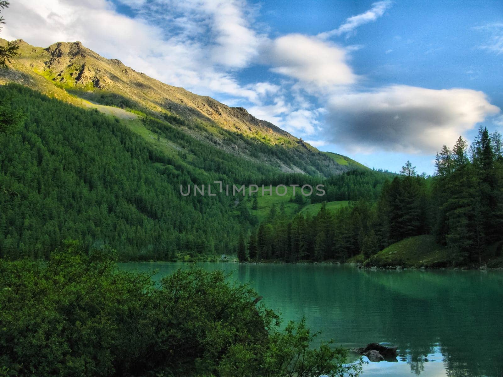 Nature is altai. Mountain landscape, forests and reservoirs of the altai.
