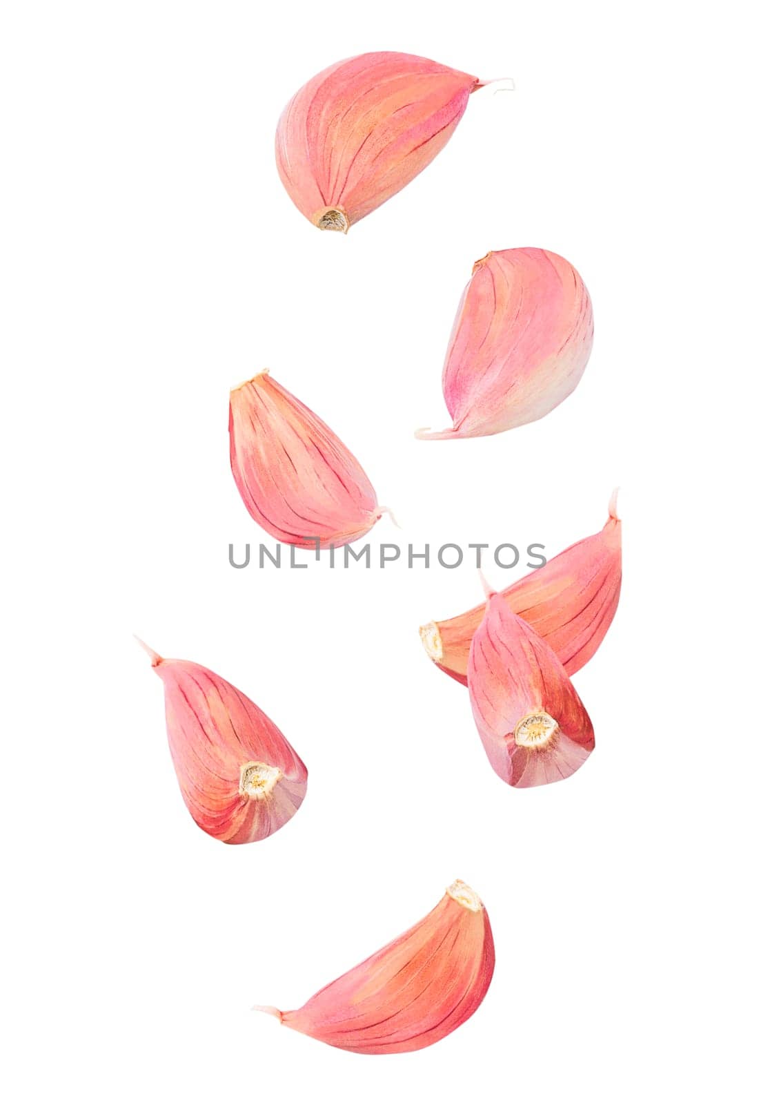 Isolated flying spices. Seven pieces of falling garlic cloves on white background with clipping path as package design element and advertising. Full depth of field.