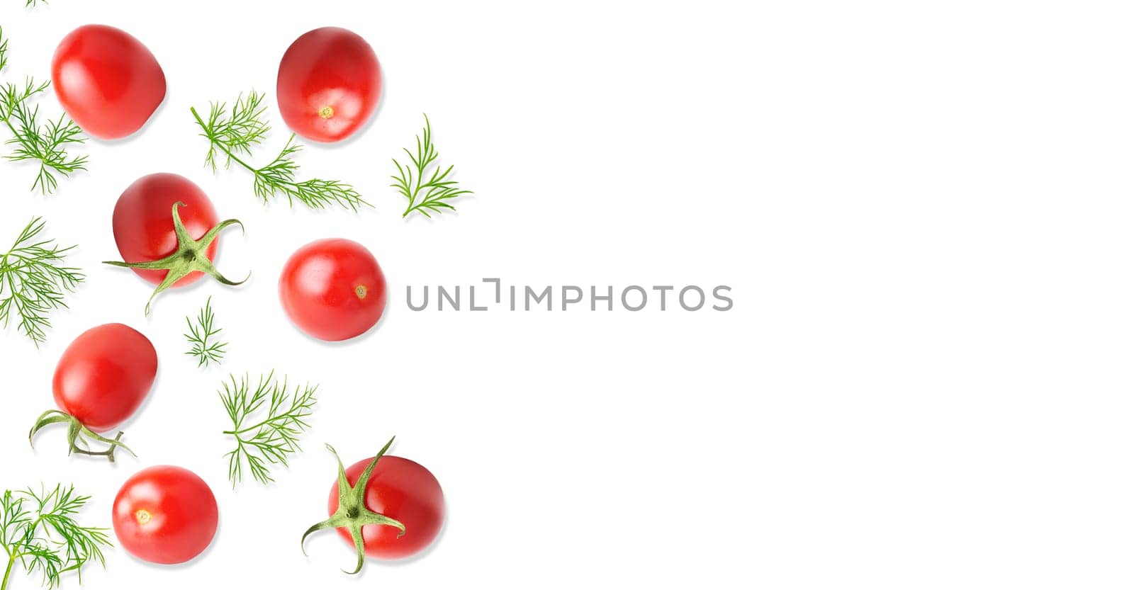 Isolated vegetable. Raw tomato fruits and fresh dill. Top view isolated on white background. Panorama website header banner. High quality photo.