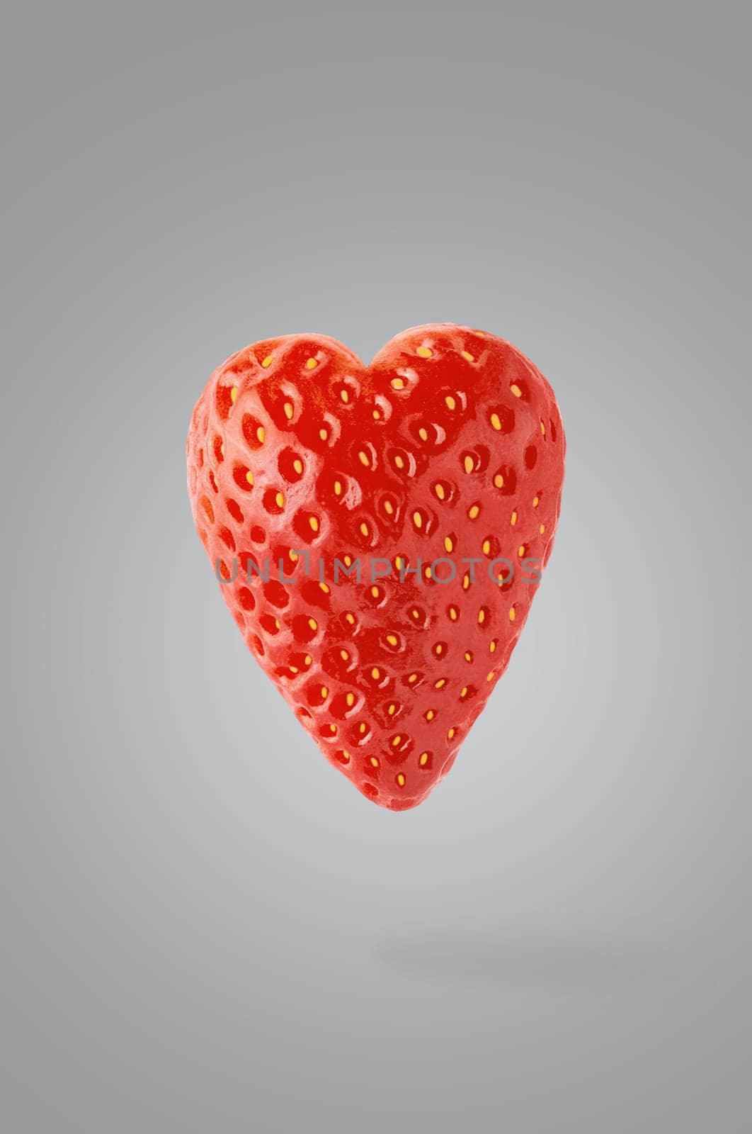 Minimal fruit concept. One whole strawberry fruit heart-shaped on ultimate gray background with shadow. Design element. Full depth of field. Valentine day.