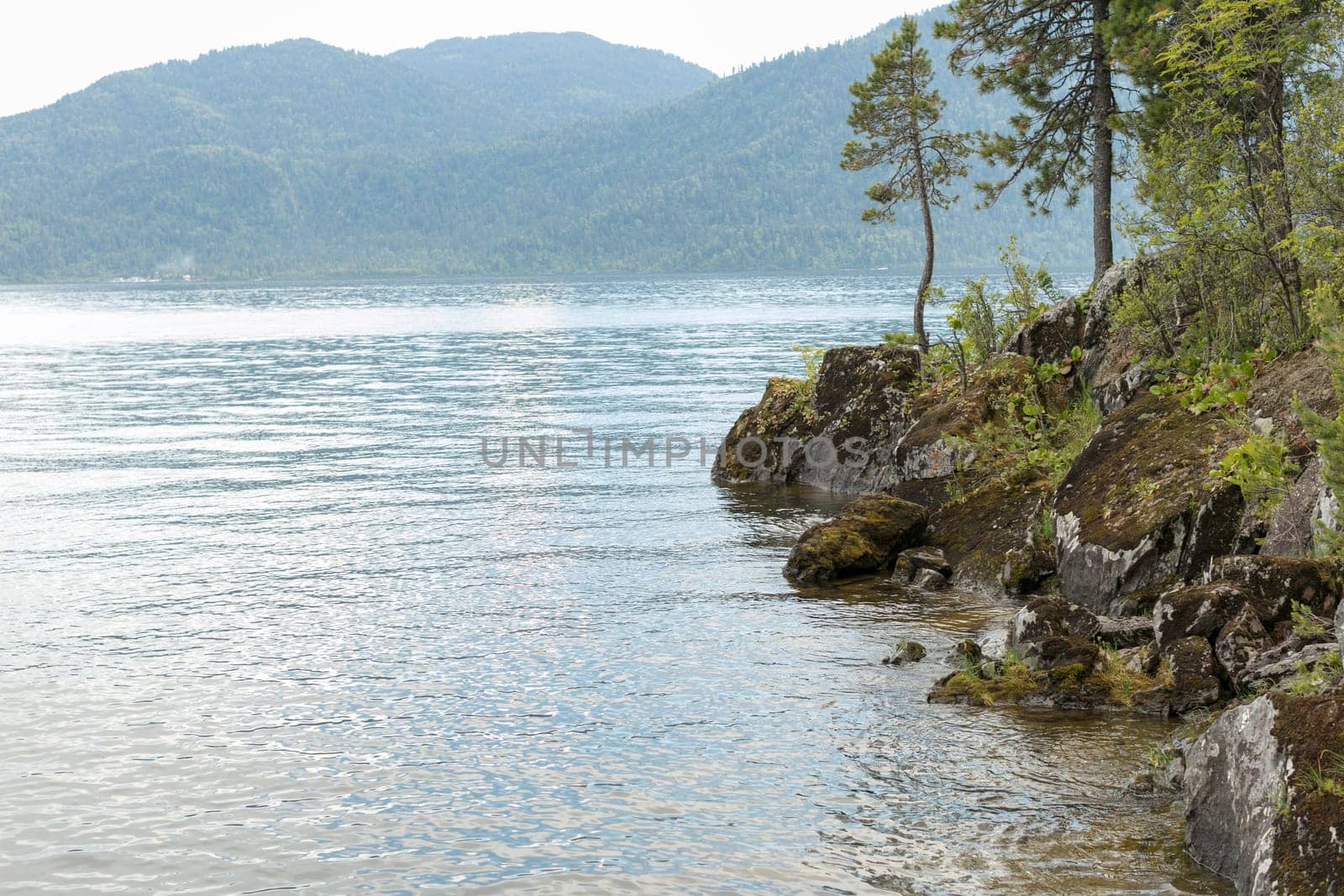 Lake Teletskoye with calm water on a summer day