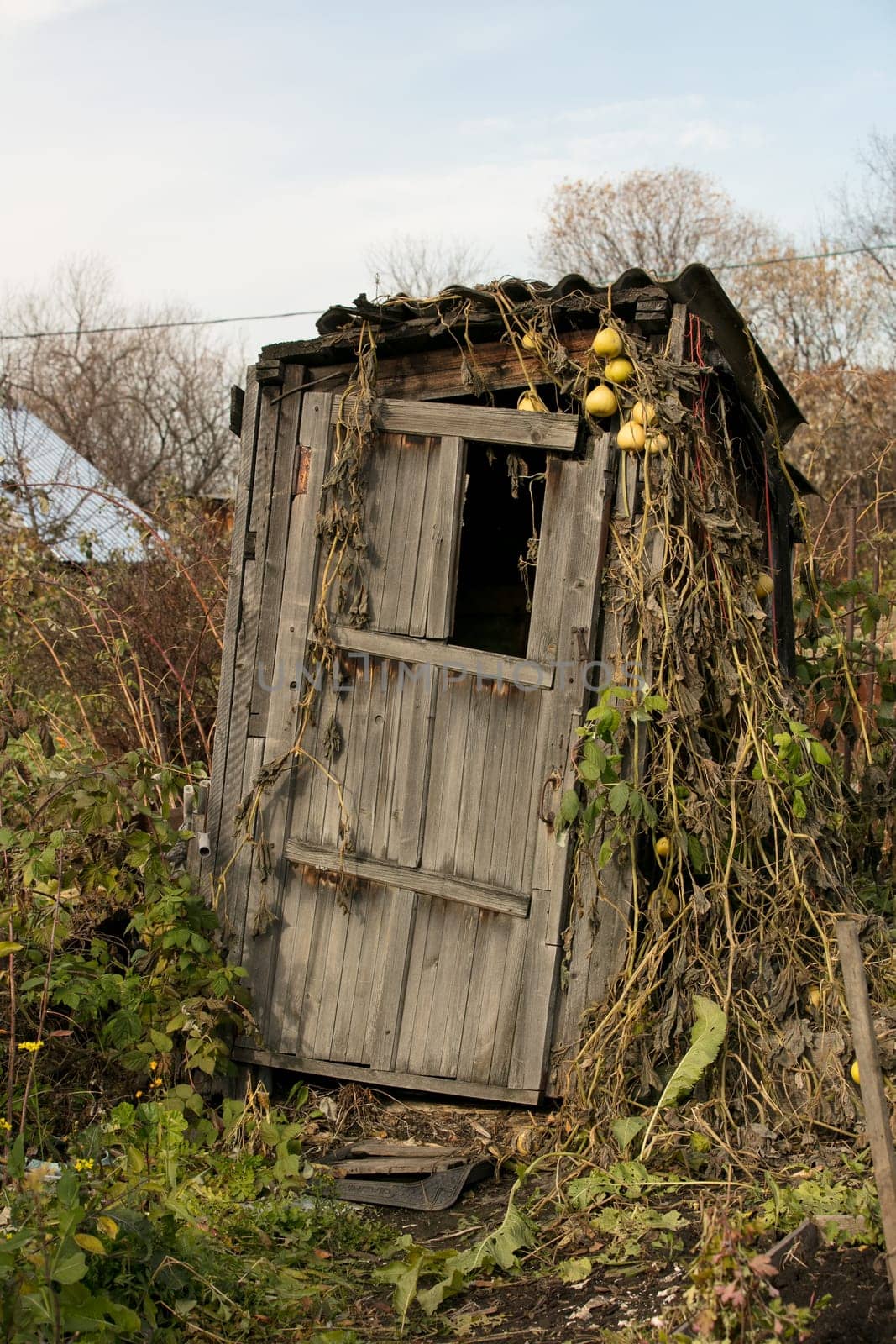 Rural old wooden toilet in the village