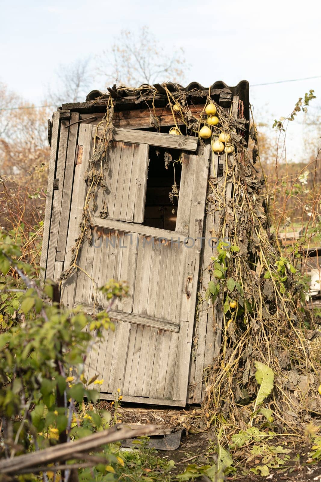 Rural old wooden toilet in the village