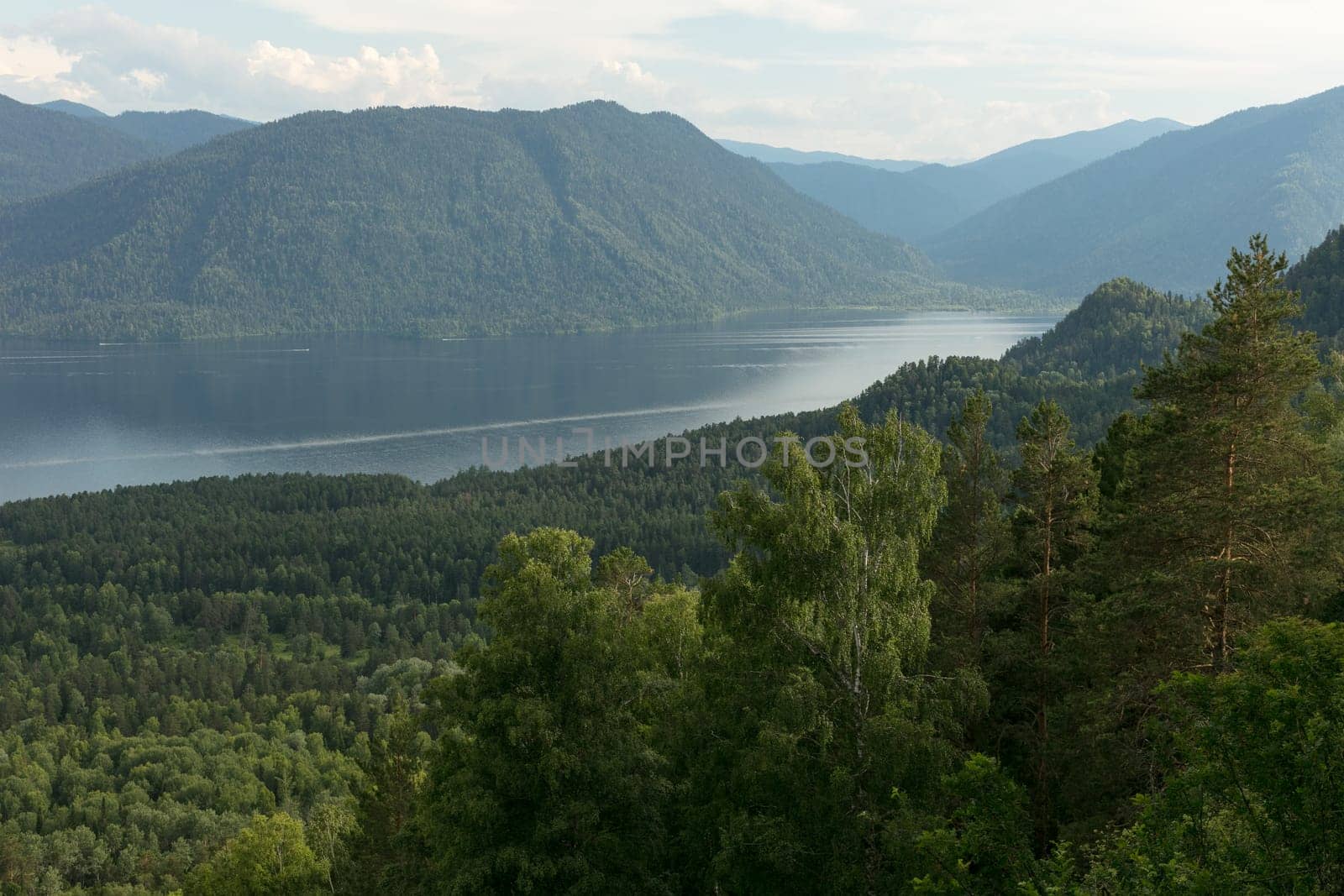 Lake Teletskoye with calm water on a summer day