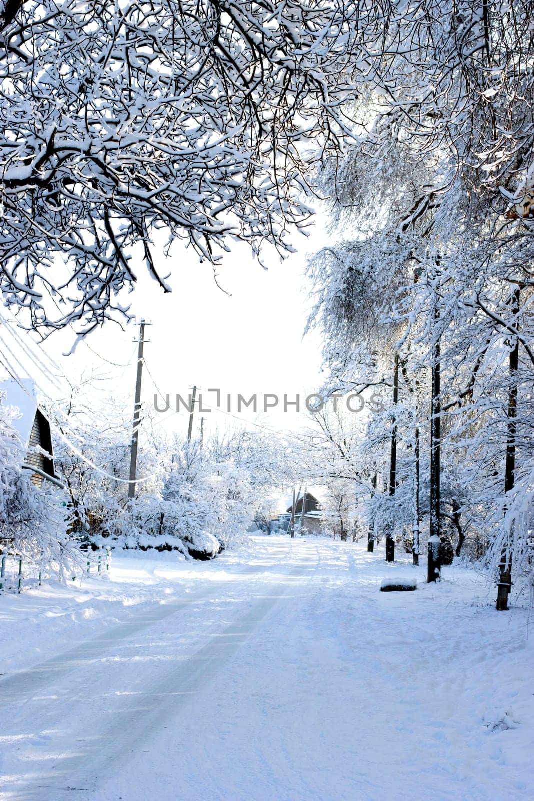 Winter rural landscape. Snowy street. Winter frosty morning. Rural houses and trees covered with snow.