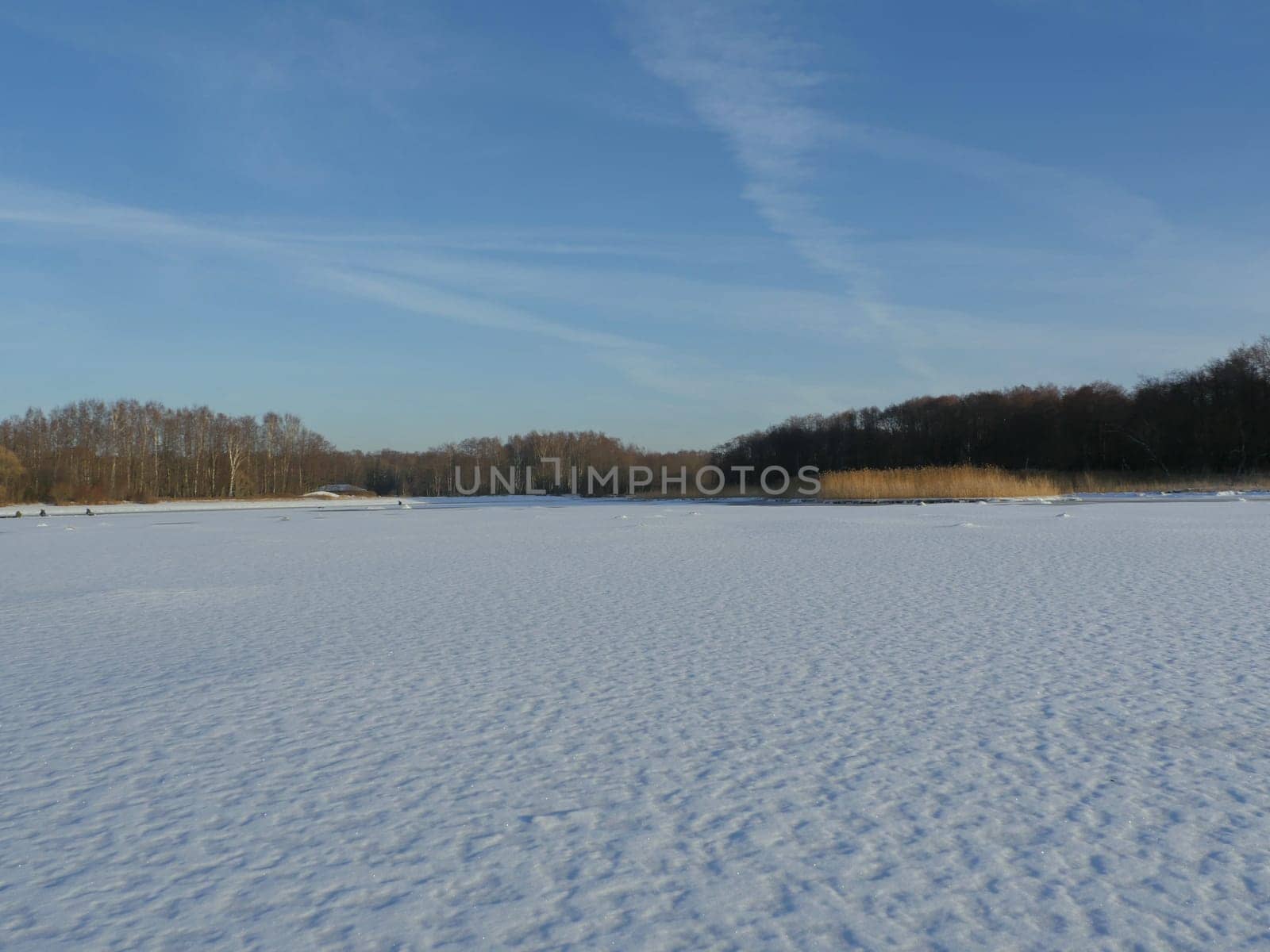 frozen lake clean flat snow forest on the horizon, winter landscape