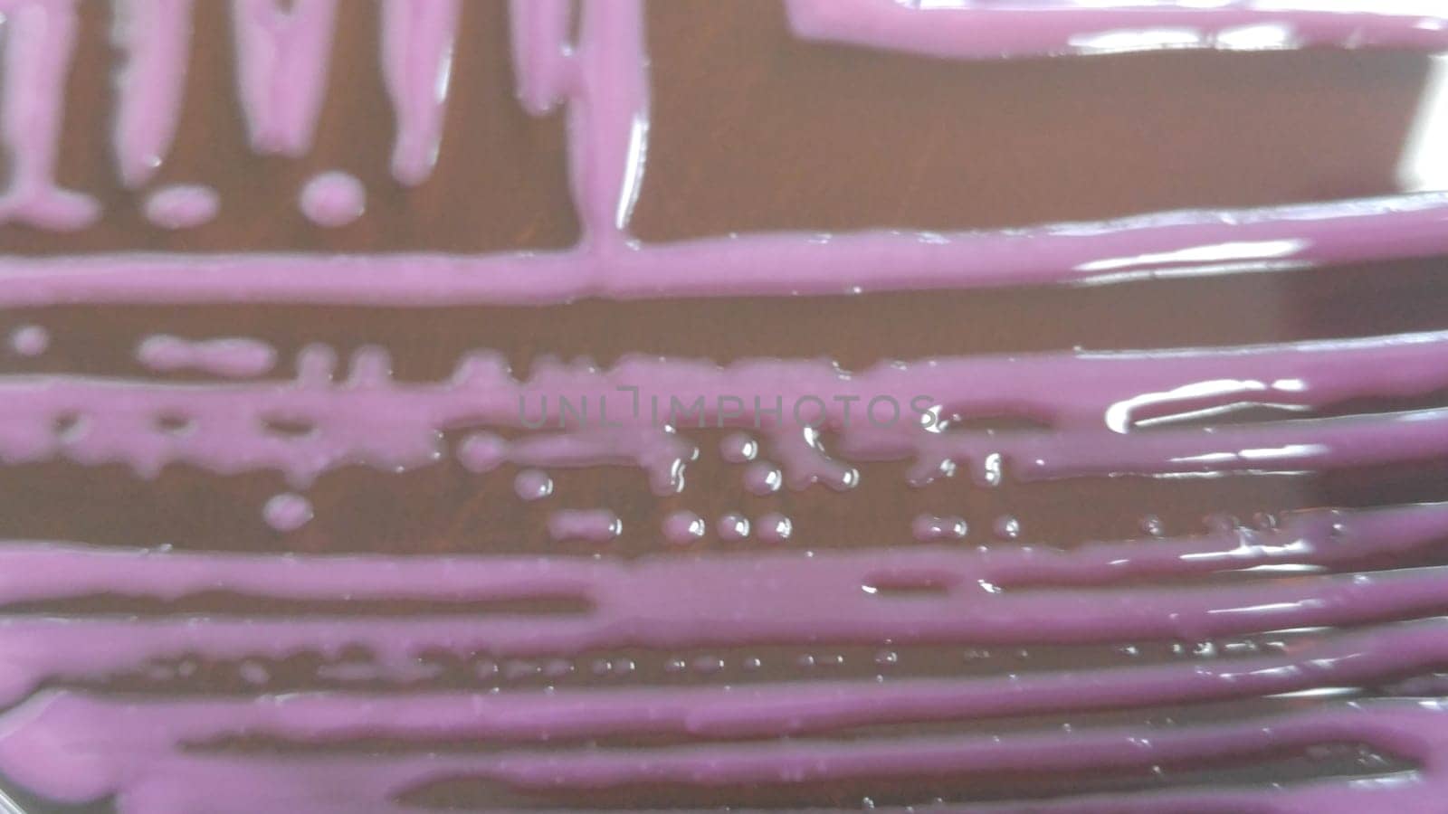 petri dish with various bacteria colonies on agar