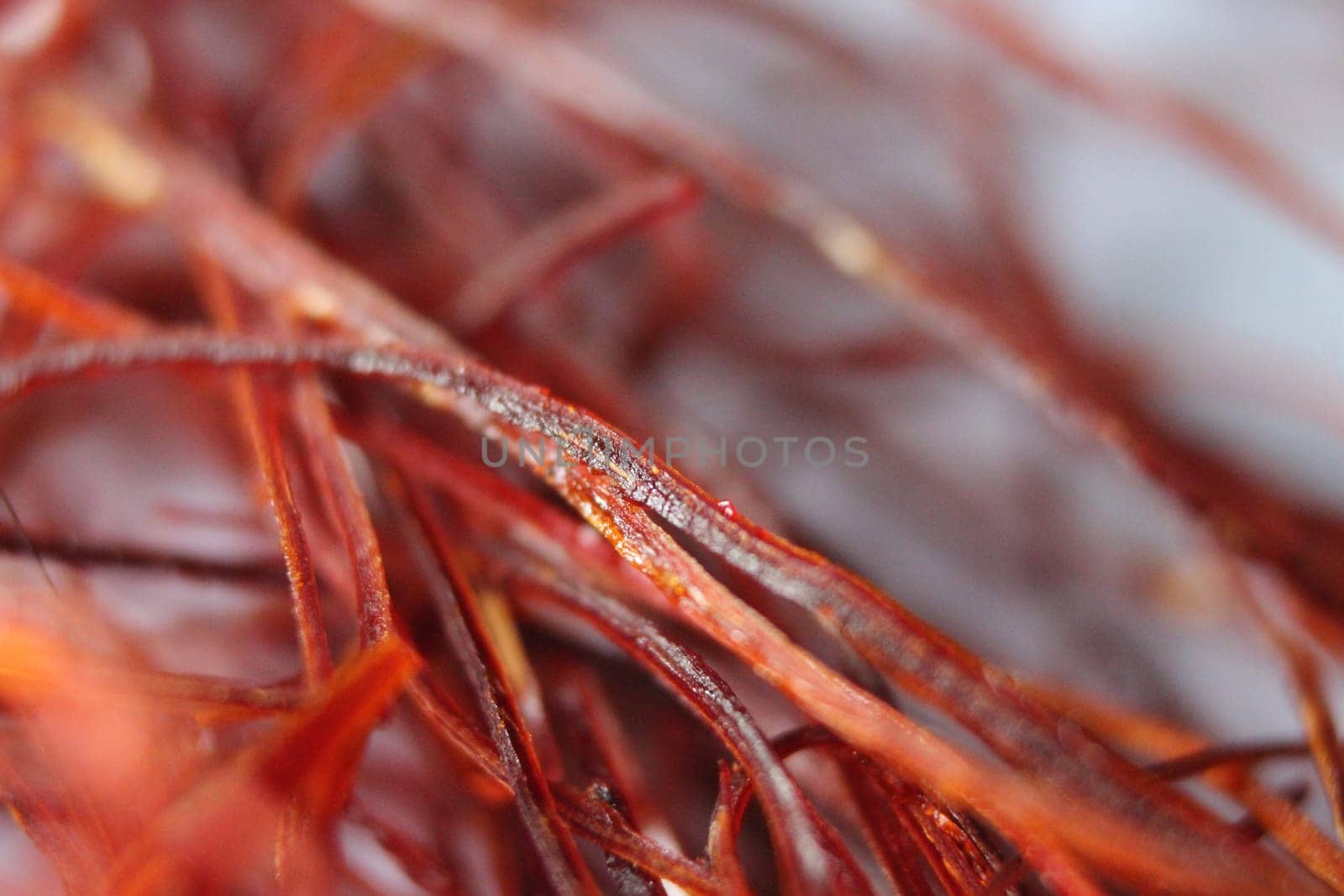 Macro photograph view of saffron with selective focus. Crocus sativus, commonly known as the "saffron crocus"""