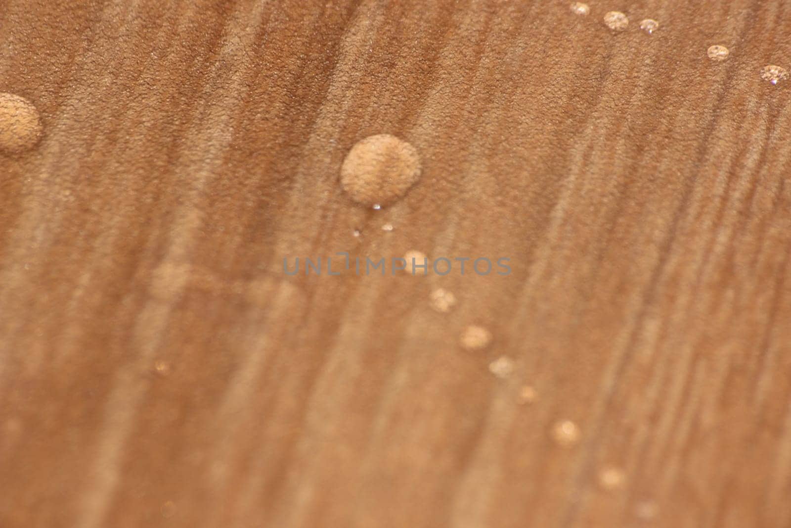 Closeup selective focus view of water drops on wooden floor. Abstract raindrops pattern on wooden board