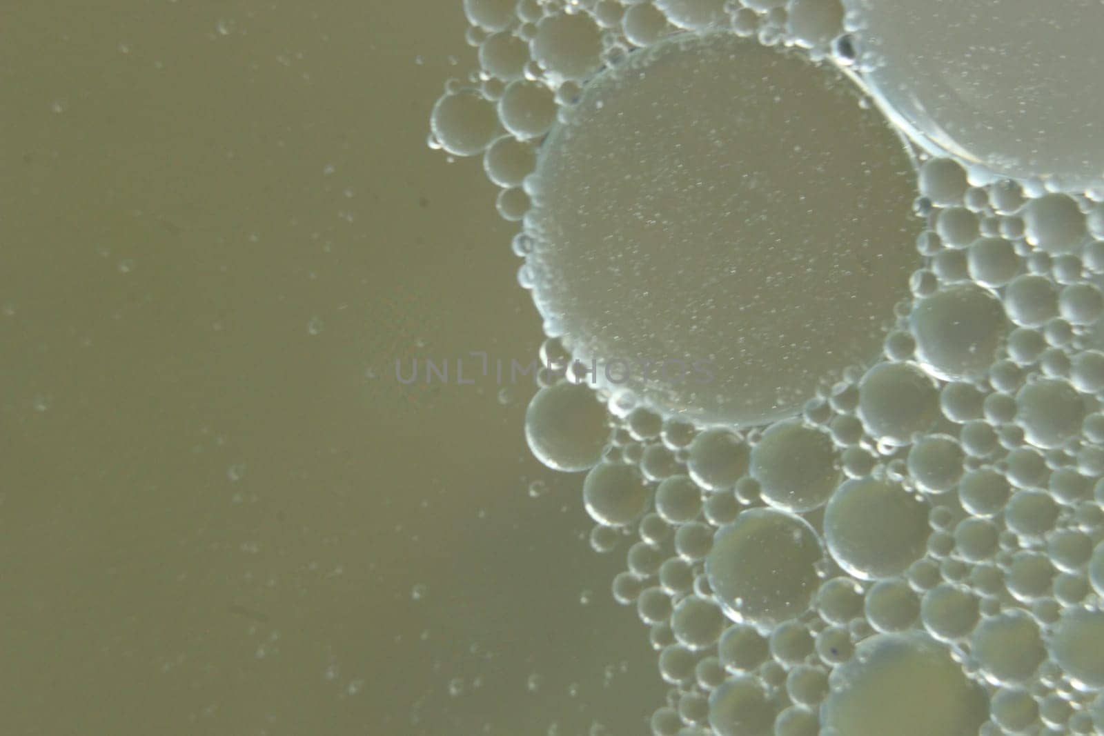abstract macro background of oil circles floating over water surface . Macro closeup view of bubbles on water . oil bubbles in the water macro photographic background