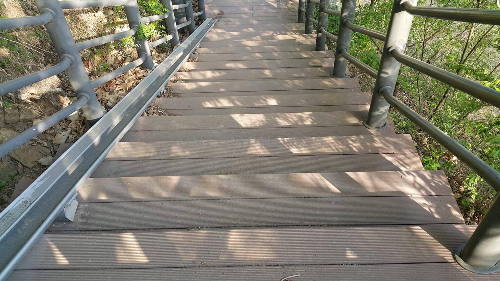 Wooden stairs with handrails on both sides in a park.